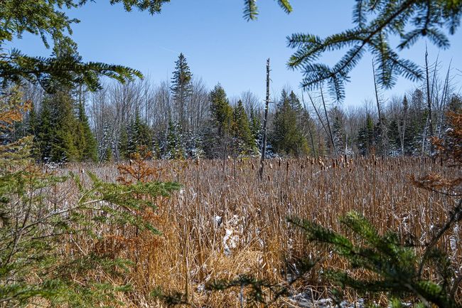 160-acre Pleasant Lake Rd, Home with 0 bedrooms, 0 bathrooms and null parking in Upson WI | Image 26
