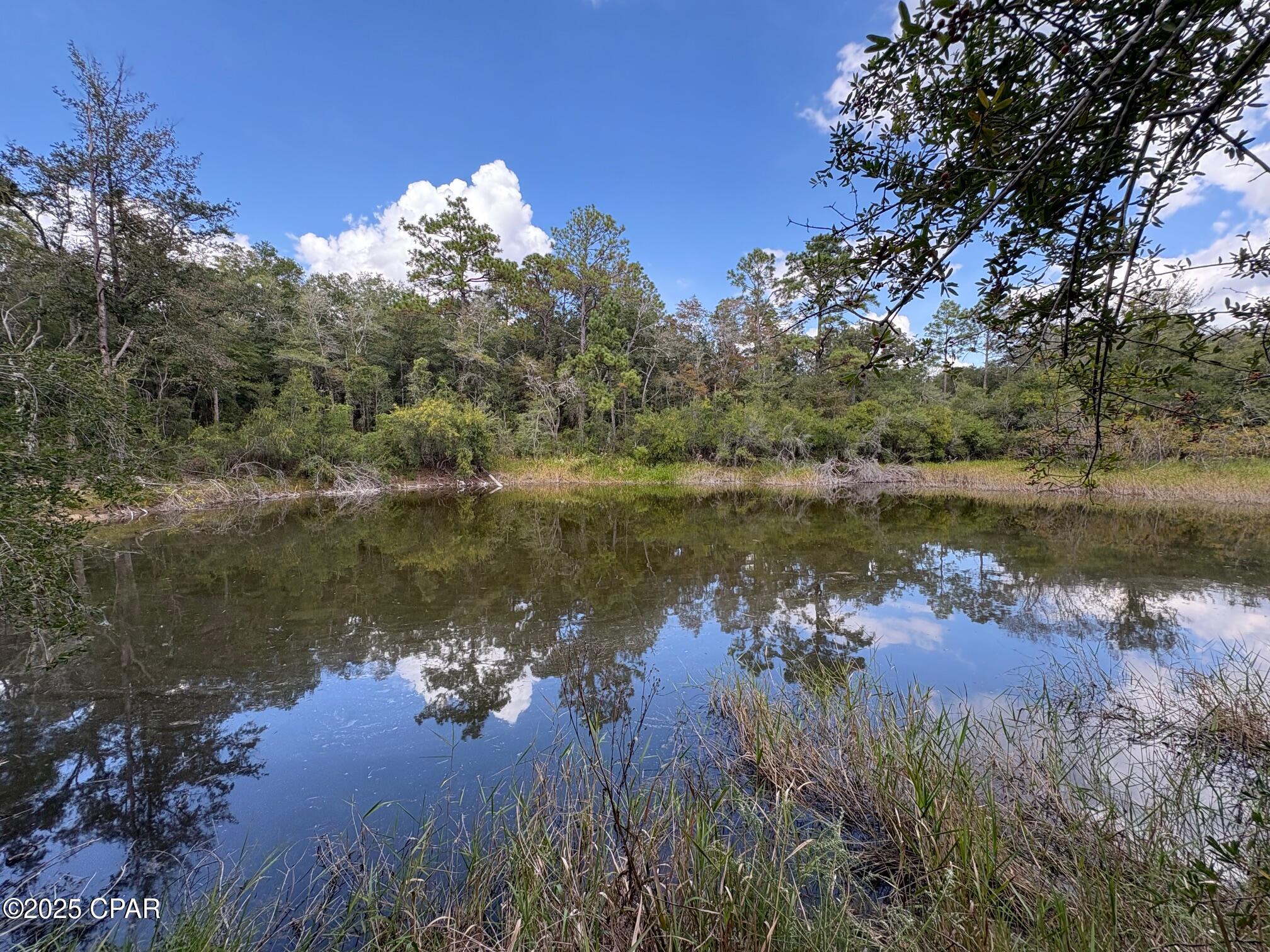 Land in Chipley