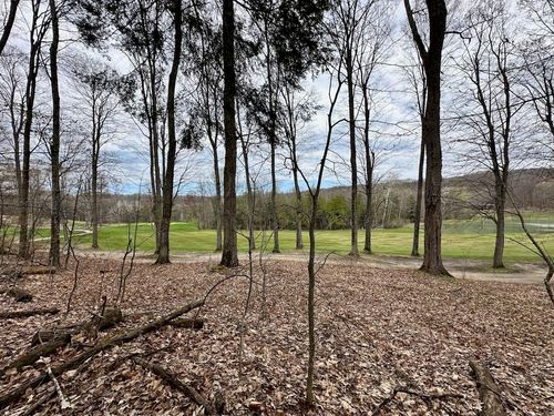 Unit 19 Forest Trail, Custer Township, MI, 49615 | Card Image