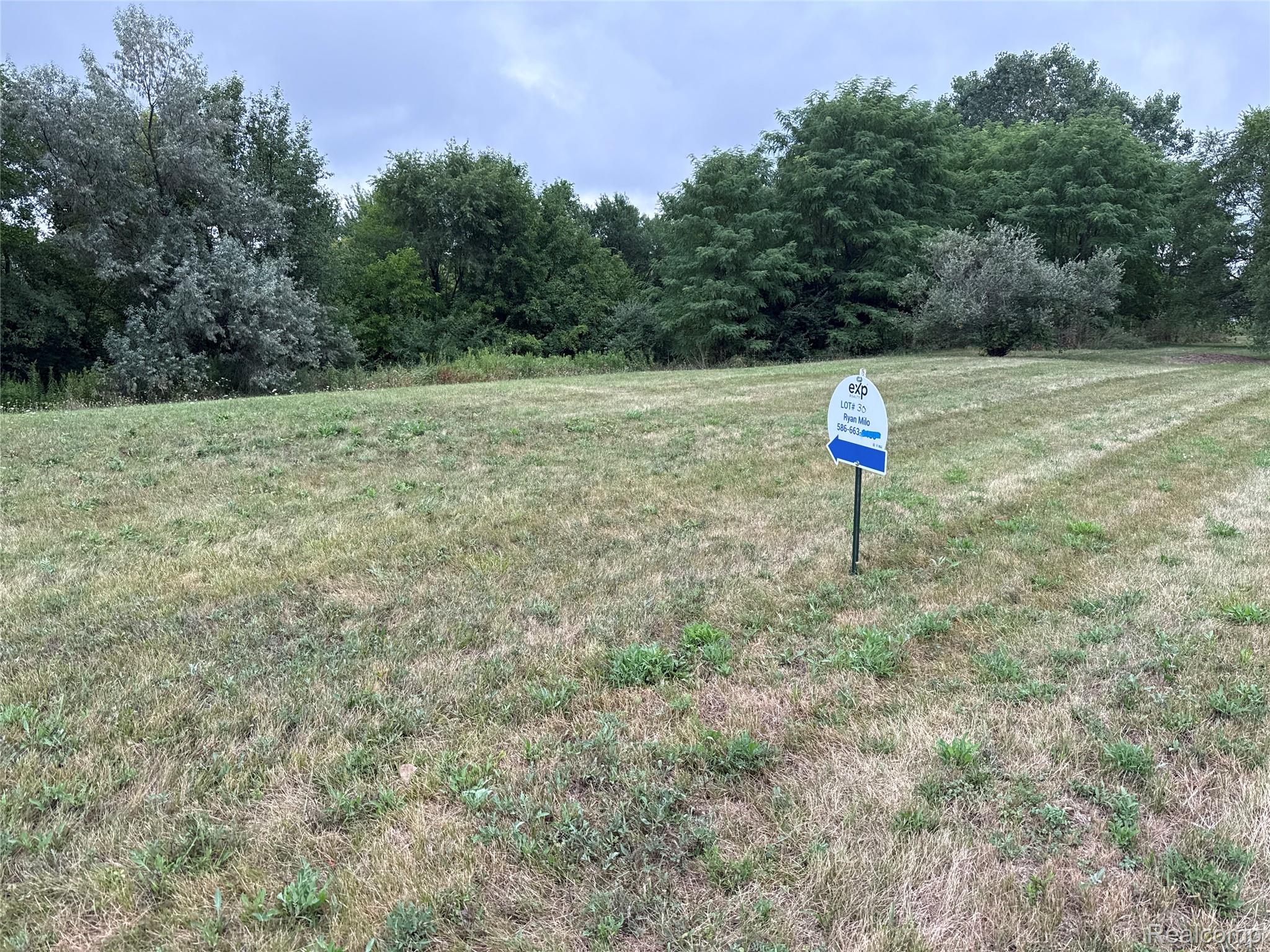Land in Augusta Charter Township 2