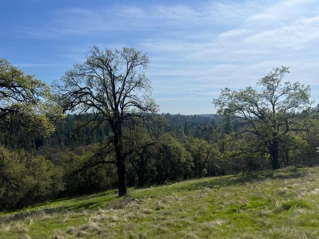 18907 Shake Ridge Rd, Home with 0 bedrooms, 0 bathrooms and null parking in Sutter Creek CA | Image 13