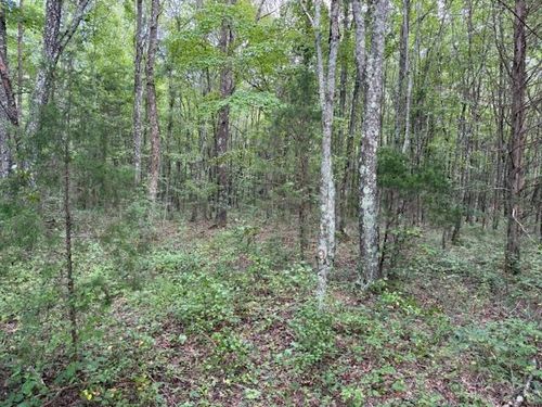 1994 Goforth Rd, Morrison, TN, 37357-3291 | Card Image
