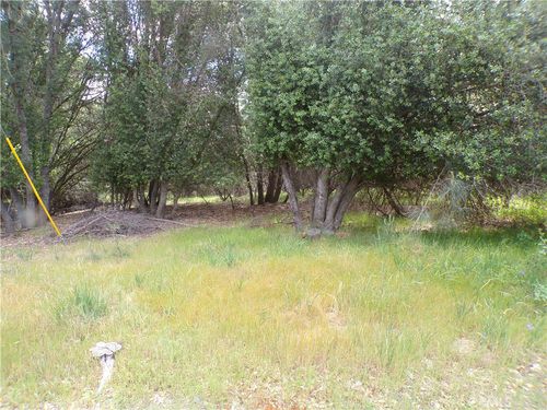 17472 Cache Creek, Clearlake Oaks, CA, 95423 | Card Image