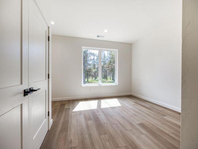 1168 Paper Birch-28 | Image 29