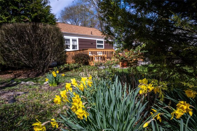 Perennial flowering plants & shrubbery | Image 17