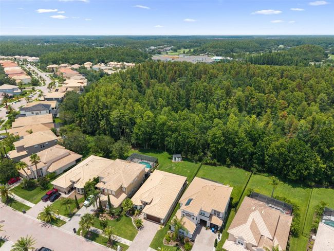 10880 Cory Lake Dr, House other with 3 bedrooms, 2 bathrooms and null parking in TAMPA FL | Image 47