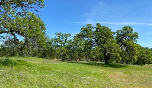 3.62 acres Deer Crest Trl, Cottonwood, CA, 96022 | Card Image