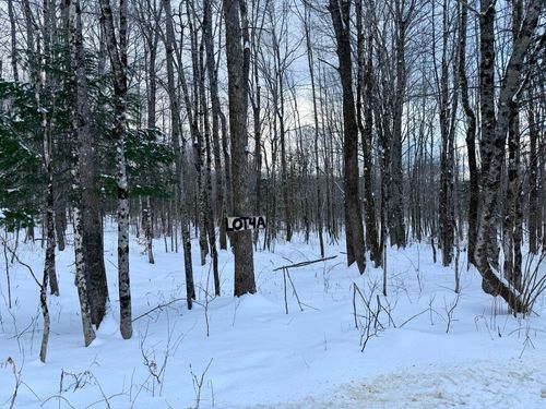 Lot 4A Center Hill Road, Weld, ME, 04285 | Card Image