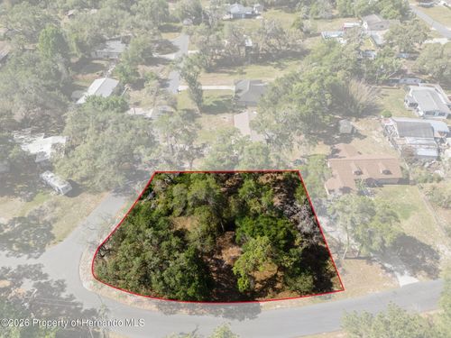 5043 Cardinal Drive, Ridge Manor, FL, 33523 | Card Image