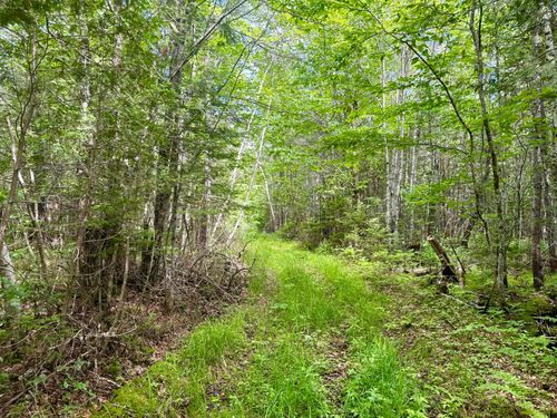 M2L12 Wellington Rd, Harmony, ME, 04942 | Card Image