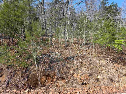 L12 B1 Deer Run Drive, Cherokee Village, AR, 72529 | Card Image