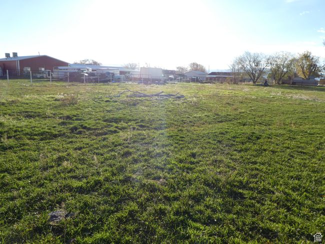 View of yard | Image 22