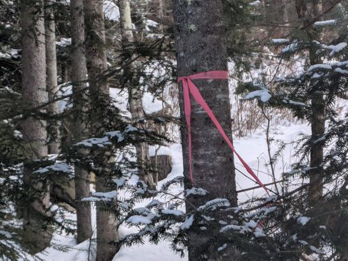 111 Swiftwater Circle, Haverhill, NH, 03765-4413 | Card Image