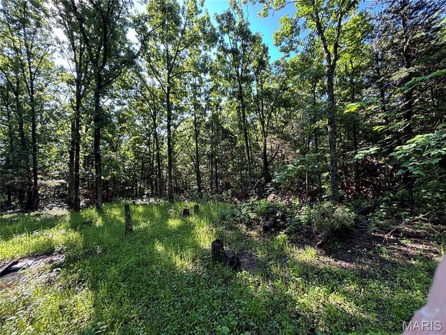 View of tree filled area | Image 20