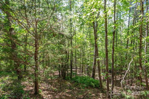 Lot 14 Meadow Crossing Drive, Rutherfordton, NC, 28139 | Card Image