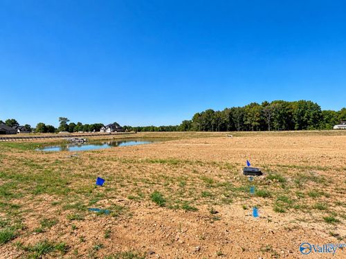 24423 Carnoustie Drive, Athens, AL, 35613 | Card Image