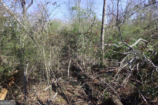 1 - LT.1 Steel Creek Rd, Home with 0 bedrooms, 0 bathrooms and null parking in Davisboro GA | Image 5