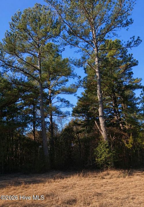 000 Roanoke Chapel Rd, Littleton, NC, 27850 | Card Image