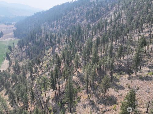 0 Gold Creek Loop Rd, Carlton, WA, 98814 | Card Image