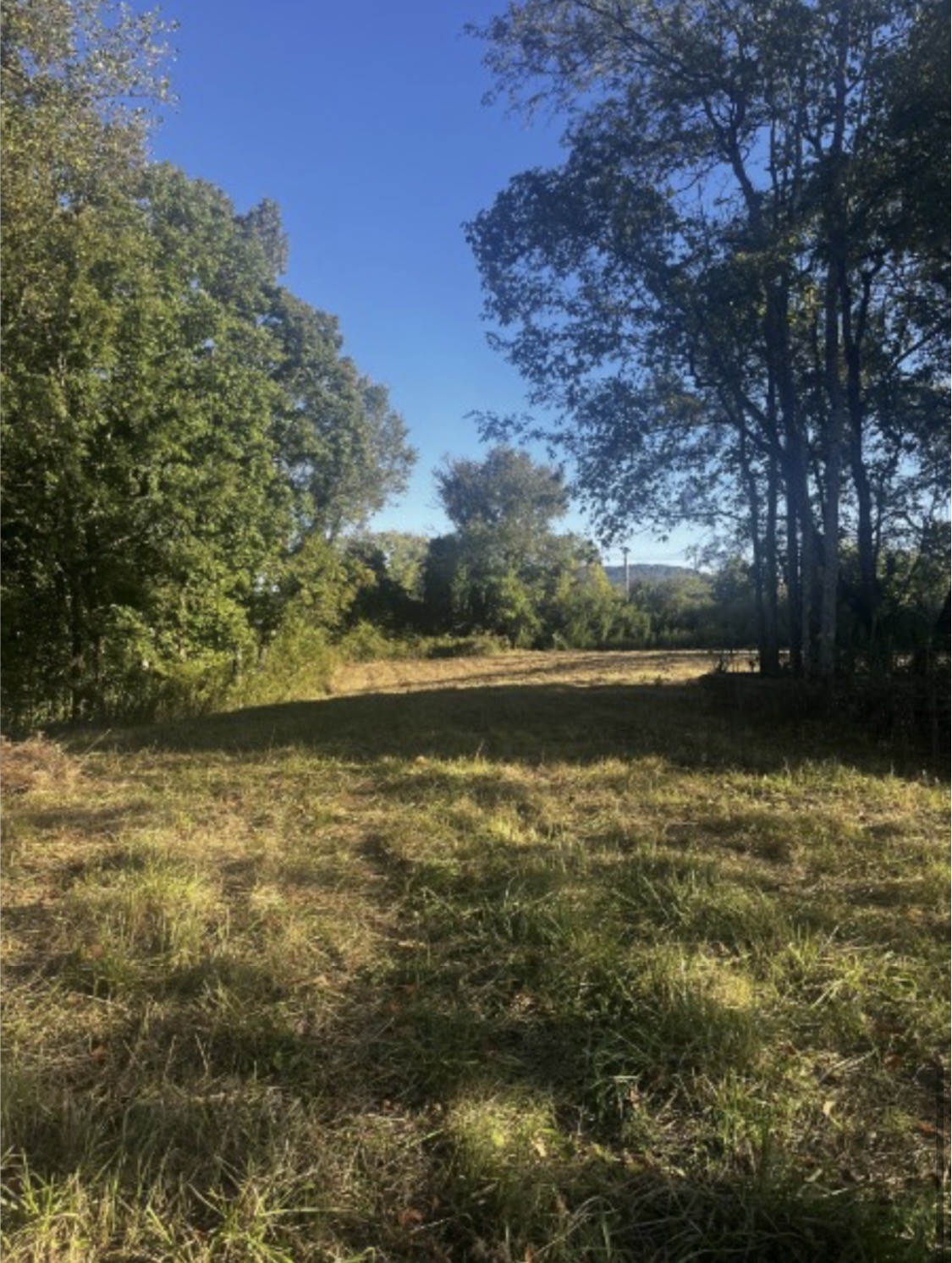 Land in Mc Minnville 2