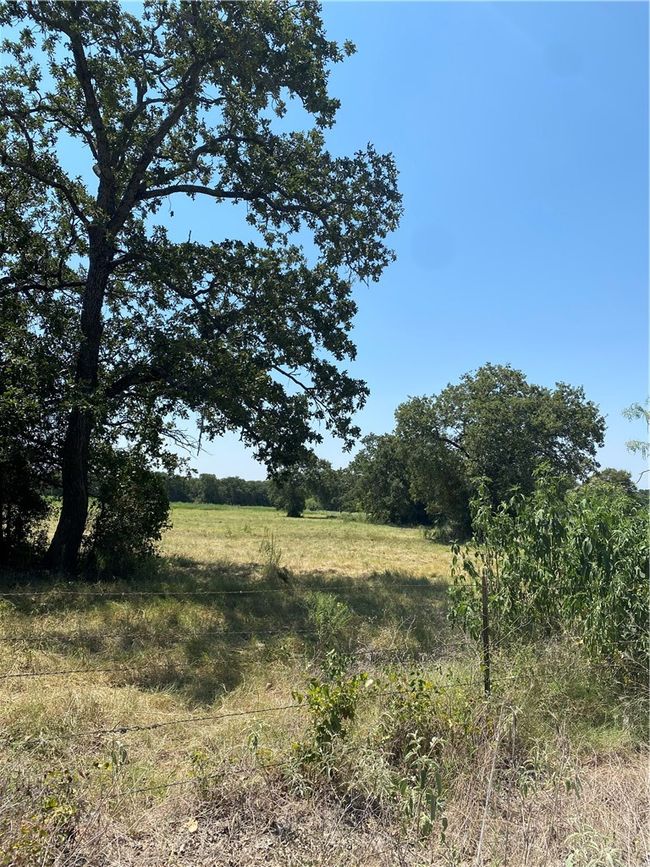 222 Hcr 2205, Home with 0 bedrooms, 0 bathrooms and null parking in Aquilla TX | Image 6