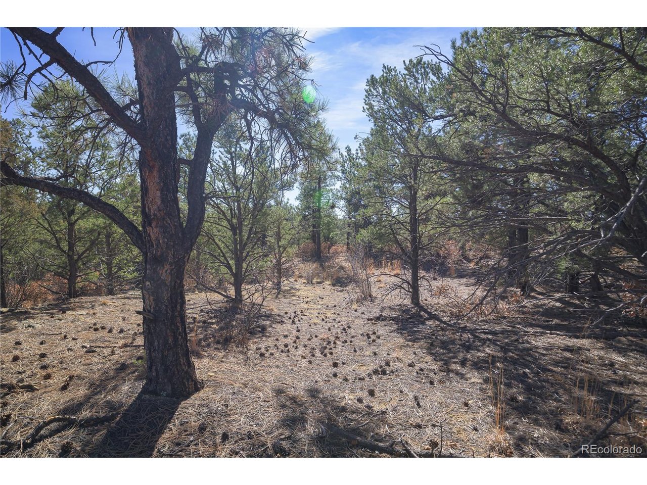 Land in Weston 3