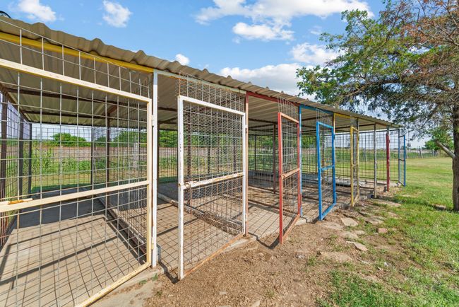 View of poultry coop | Image 37