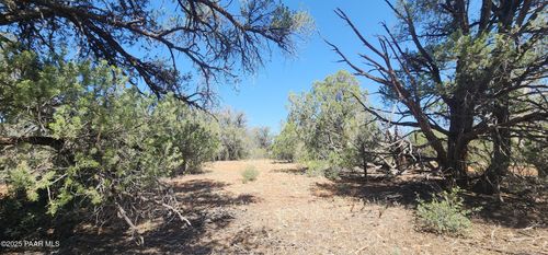 Lot 330 Forest Acres, Seligman, AZ, 86337 | Card Image