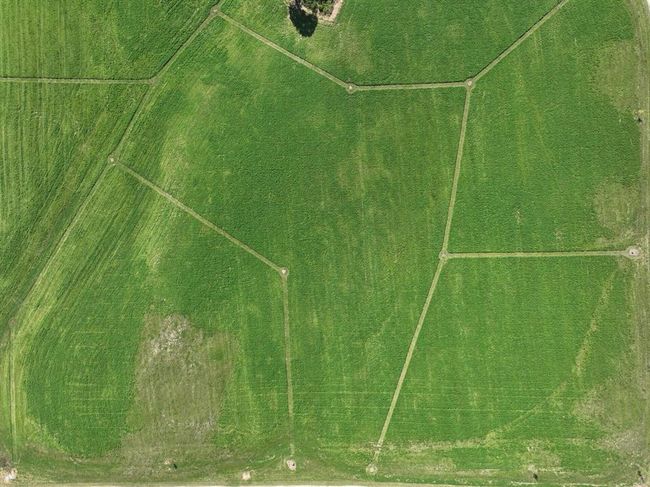 Lot 3 County Road Y, Home with 0 bedrooms, 0 bathrooms and null parking in Viroqua WI | Image 33