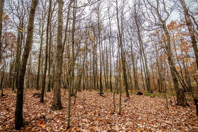 381 Lynx Ln, House other with 3 bedrooms, 2 bathrooms and null parking in Vintondale PA | Image 23