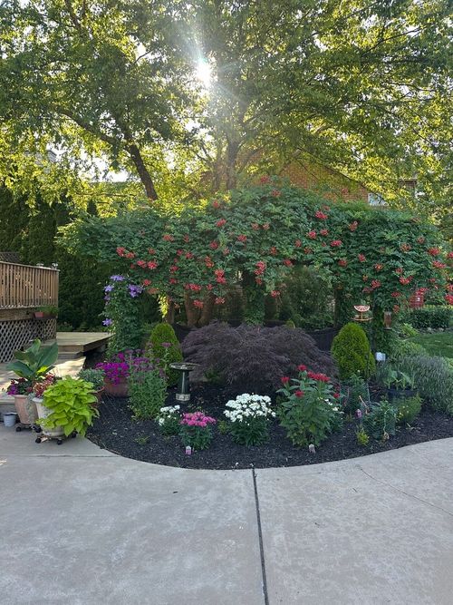 623 Franklin St, Downers Grove, IL, 60515-3853 | Card Image