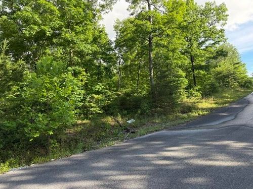 196 Big Bluff Vw, Pikeville, TN, 37367 | Card Image