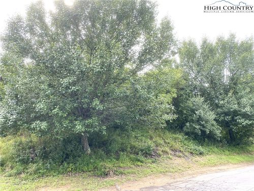 20 Isabel Way, Piney Creek, NC, 28663-9029 | Card Image