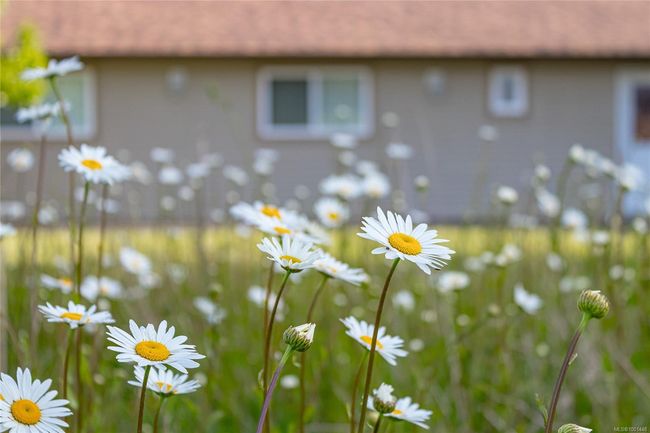 3772 South Oyster School Rd, House other with 2 bedrooms, 1 bathrooms and 4 parking in Saltair BC | Image 21