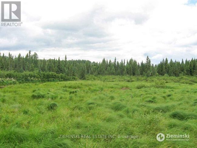 LT 11 Con 3 Murphy Twshp Acres, Home with 0 bedrooms, 0 bathrooms and null parking in Timmins (TS - SE) ON | Image 5