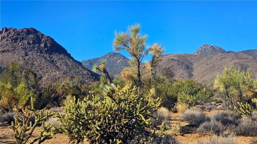 2b S Cattle Crossing Rd, Yucca, AZ, 86438 | Card Image