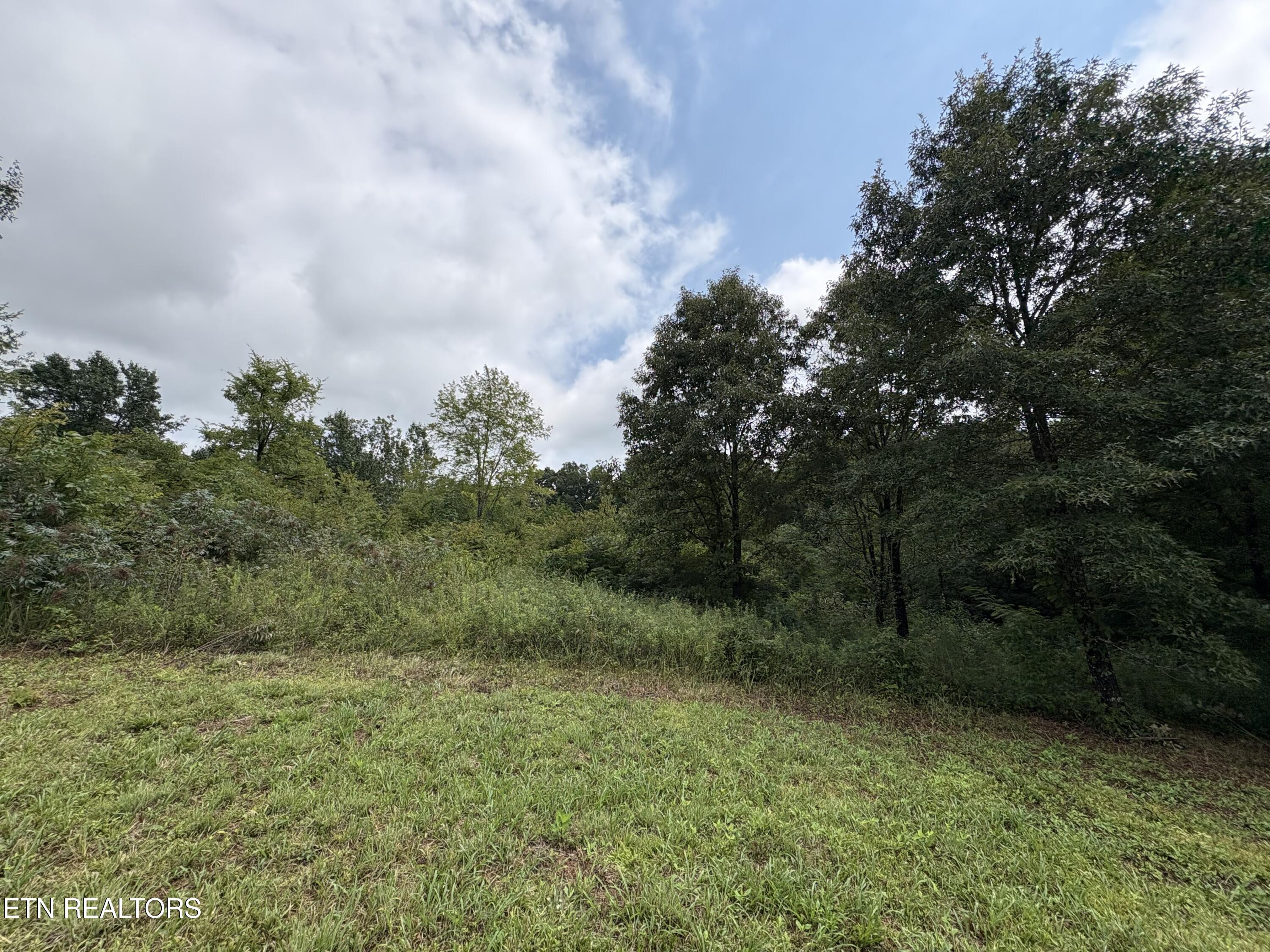 Land in Strawberry Plains