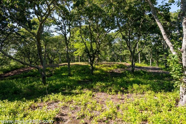 32 Stonewall Rd, Home with 0 bedrooms, 0 bathrooms and null parking in Chilmark MA | Image 11