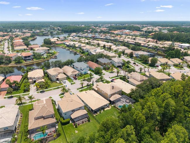 10880 Cory Lake Dr, House other with 3 bedrooms, 2 bathrooms and null parking in TAMPA FL | Image 46