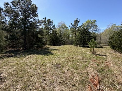 TBD Fm 542, Oakwood, TX, 75855 | Card Image