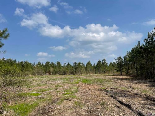 Tract 13 Lorin Wall Rd, Holden, LA, 70744 | Card Image