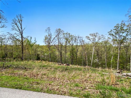 565 Huntington Trails Dr, Festus, MO, 63028-5411 | Card Image
