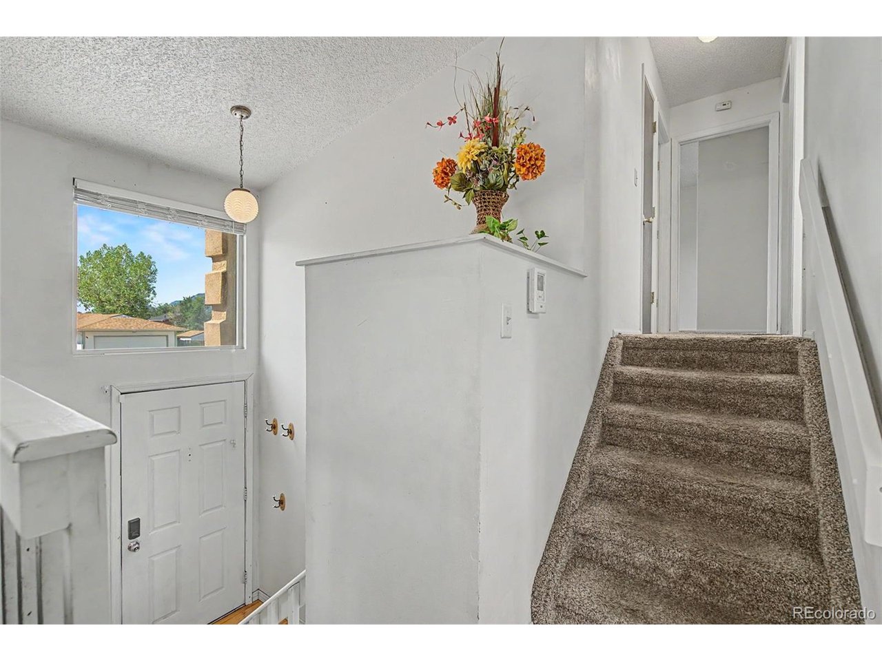 Residential in Colorado Springs 3