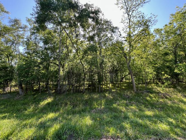 0 Squirrel Holw, Home with 0 bedrooms, 0 bathrooms and null parking in Damon TX | Image 7