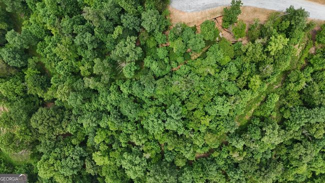 3.18 ACRES Wilkinson Rd, Home with 0 bedrooms, 0 bathrooms and null parking in Baldwin GA | Image 5