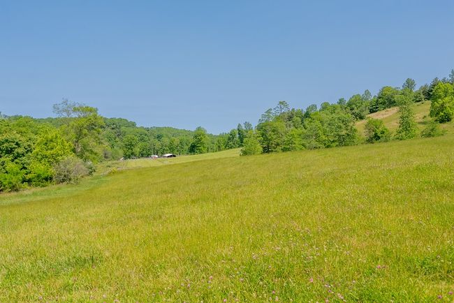 688 Gibson Knob Rd, Home with 0 bedrooms, 0 bathrooms and null parking in Laurel Fork VA | Image 87