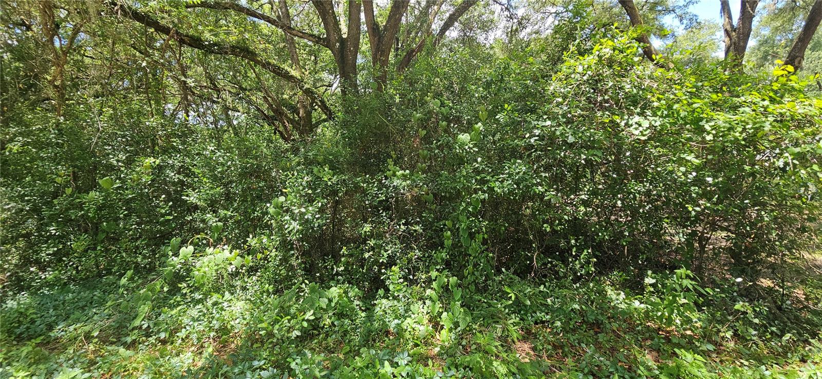 Land in SUMMERFIELD 2