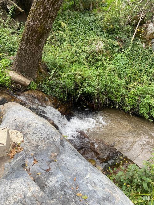 44361 Old Stage Rd, Posey, CA, 93260 | Card Image