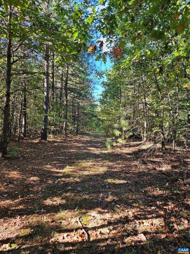 10239 Howardsville Rd, House other with 2 bedrooms, 1 bathrooms and null parking in HOWARDSVILLE VA | Image 45