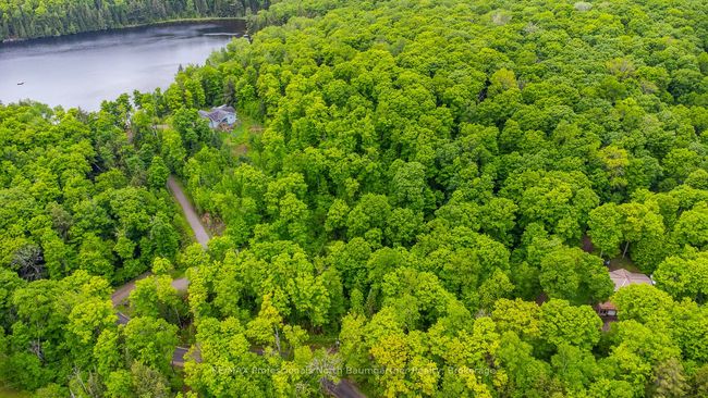 0 Grace River Rd, Home with 0 bedrooms, 0 bathrooms and null parking in Wilberforce ON | Image 13